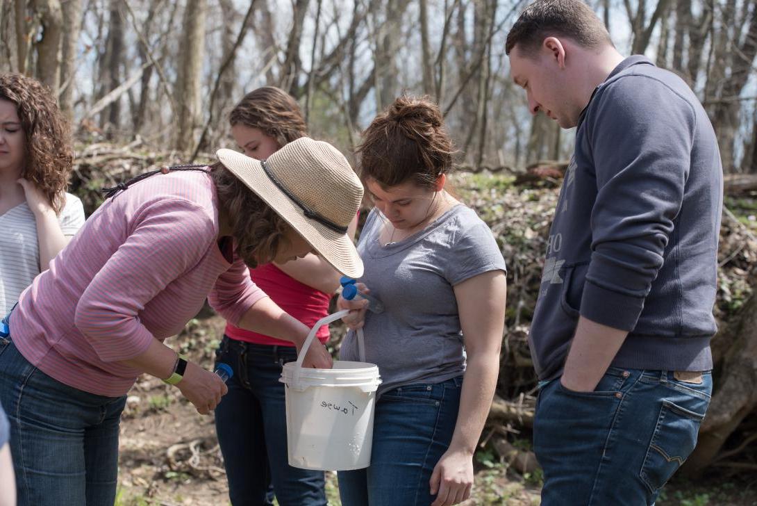 Students and Dr. Saunders examine bucket of specimens found in Canfield Preserve stream